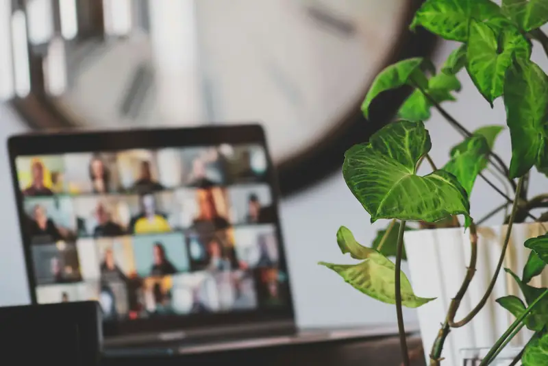 A laptop showing a video meeting with many participants, next to a green houseplant
